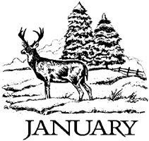 January